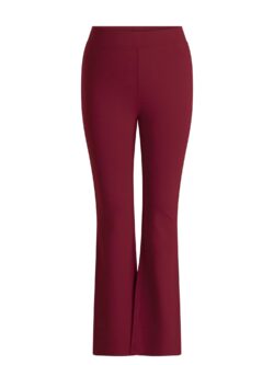 Base Level Curvy broek Allie